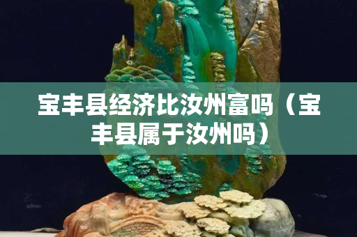 宝丰县经济比汝州富吗（宝丰县属于汝州吗）