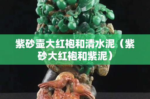 紫砂壶大红袍和清水泥（紫砂大红袍和紫泥）