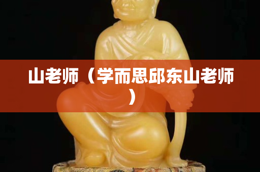 山老师（学而思邱东山老师）