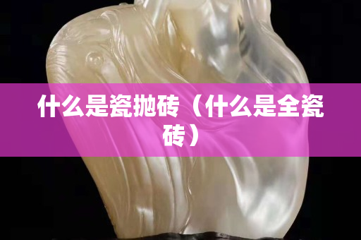 什么是瓷抛砖（什么是全瓷砖）