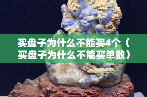 买盘子为什么不能买4个（买盘子为什么不能买单数）
