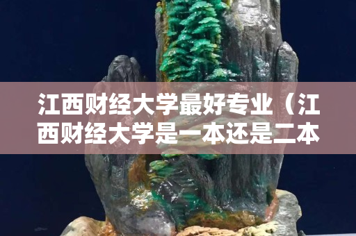 江西财经大学最好专业（江西财经大学是一本还是二本）