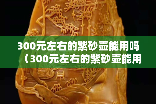 300元左右的紫砂壶能用吗（300元左右的紫砂壶能用吗）