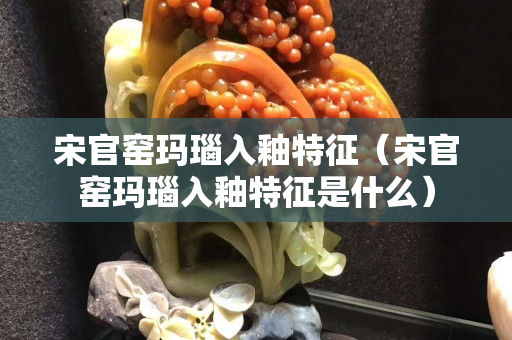宋官窑玛瑙入釉特征（宋官窑玛瑙入釉特征是什么）
