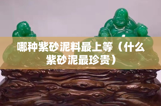 哪种紫砂泥料最上等（什么紫砂泥最珍贵）