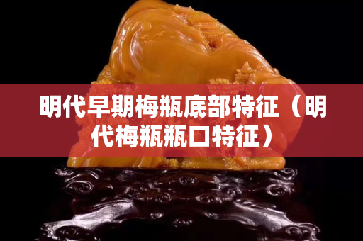 明代早期梅瓶底部特征（明代梅瓶瓶口特征）
