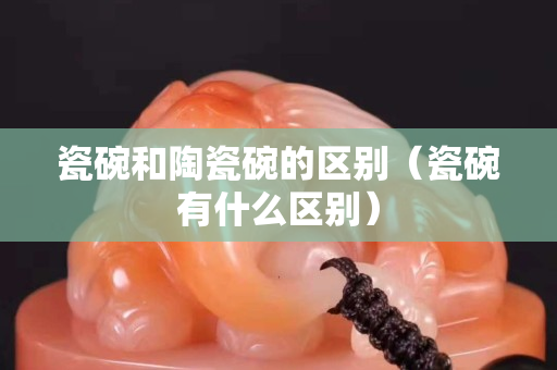 瓷碗和陶瓷碗的区别（瓷碗有什么区别）