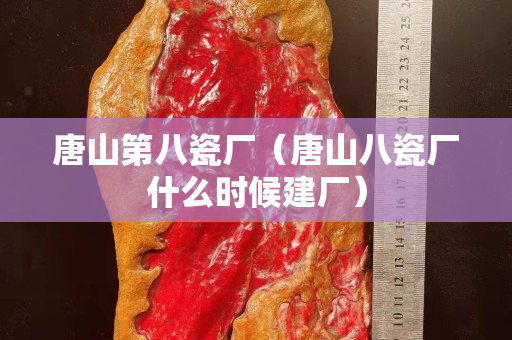 唐山第八瓷厂（唐山八瓷厂什么时候建厂）