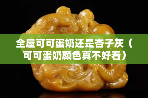 全屋可可蛋奶还是杏子灰（可可蛋奶颜色真不好看）
