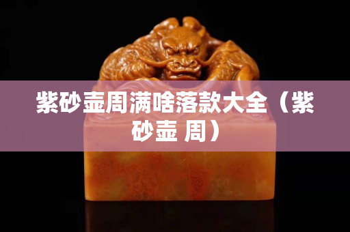 紫砂壶周满啥落款大全（紫砂壶 周）