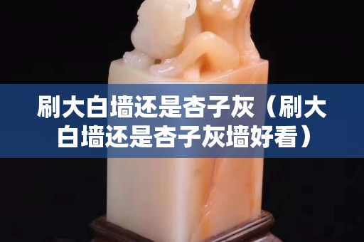 刷大白墙还是杏子灰（刷大白墙还是杏子灰墙好看）