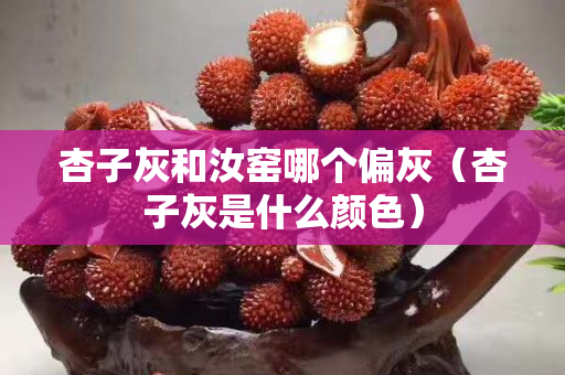杏子灰和汝窑哪个偏灰（杏子灰是什么颜色）