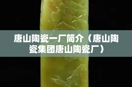 唐山陶瓷一厂简介（唐山陶瓷集团唐山陶瓷厂）