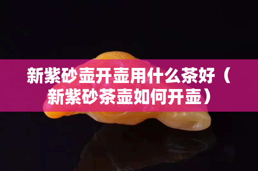 新紫砂壶开壶用什么茶好（新紫砂茶壶如何开壶）