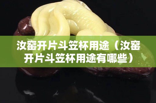 汝窑开片斗笠杯用途（汝窑开片斗笠杯用途有哪些）