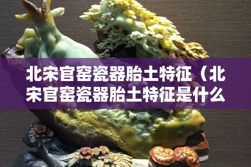 北宋官窑瓷器胎土特征（北宋官窑瓷器胎土特征是什么）