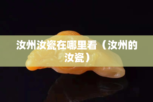 汝州汝瓷在哪里看（汝州的汝瓷）
