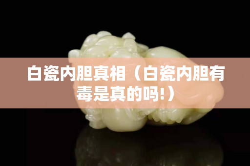 白瓷内胆真相（白瓷内胆有毒是真的吗!）
