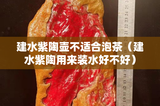 建水紫陶壶不适合泡茶（建水紫陶用来装水好不好）