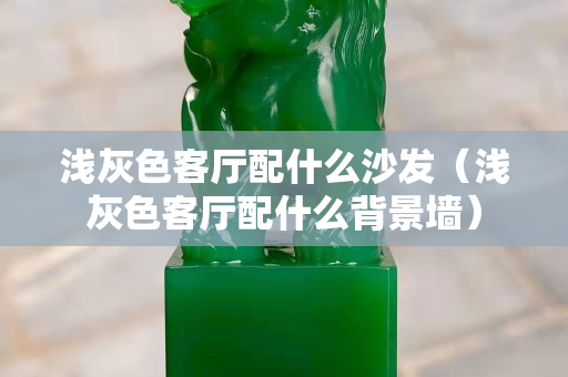 浅灰色客厅配什么沙发（浅灰色客厅配什么背景墙）