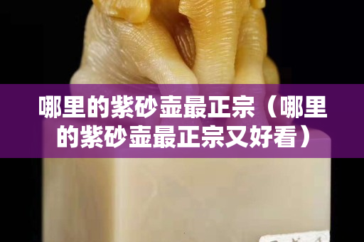 哪里的紫砂壶最正宗（哪里的紫砂壶最正宗又好看）