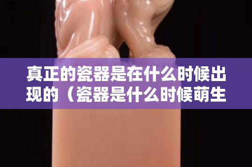 真正的瓷器是在什么时候出现的（瓷器是什么时候萌生的）