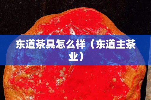 东道茶具怎么样（东道主茶业）