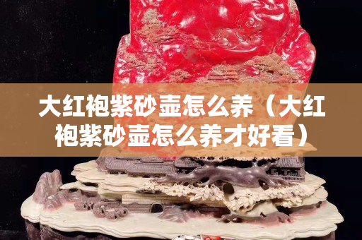 大红袍紫砂壶怎么养（大红袍紫砂壶怎么养才好看）