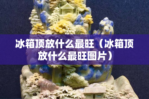 冰箱顶放什么最旺（冰箱顶放什么最旺图片）
