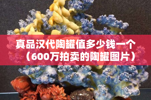 真品汉代陶罐值多少钱一个（600万拍卖的陶罐图片）