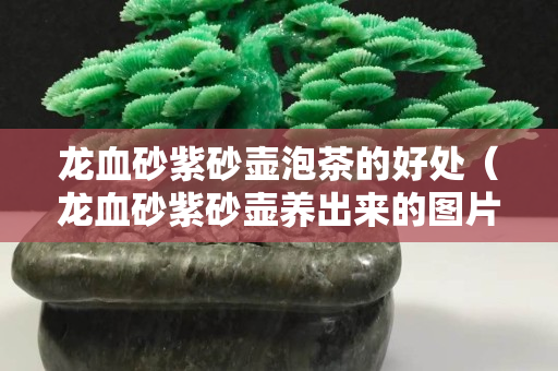 龙血砂紫砂壶泡茶的好处（龙血砂紫砂壶养出来的图片）