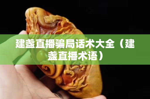 建盏直播骗局话术大全（建盏直播术语）