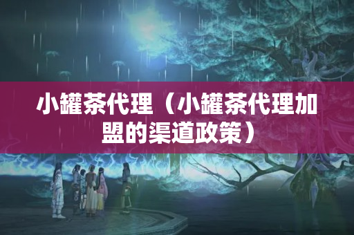 小罐茶代理（小罐茶代理加盟的渠道政策）