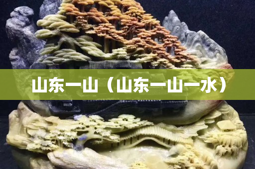 山东一山（山东一山一水）