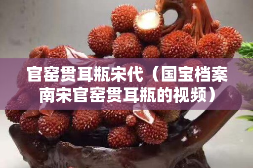 官窑贯耳瓶宋代（国宝档案南宋官窑贯耳瓶的视频）