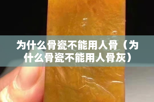 为什么骨瓷不能用人骨（为什么骨瓷不能用人骨灰）