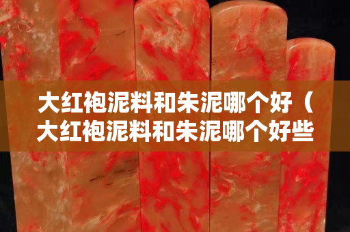 大红袍泥料和朱泥哪个好（大红袍泥料和朱泥哪个好些）