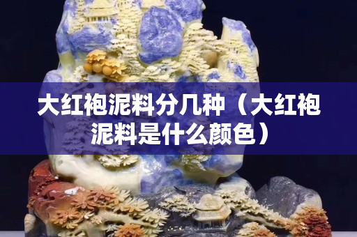 大红袍泥料分几种（大红袍泥料是什么颜色）