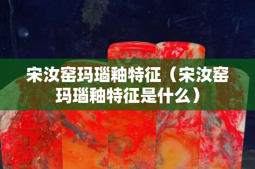 宋汝窑玛瑙釉特征（宋汝窑玛瑙釉特征是什么）