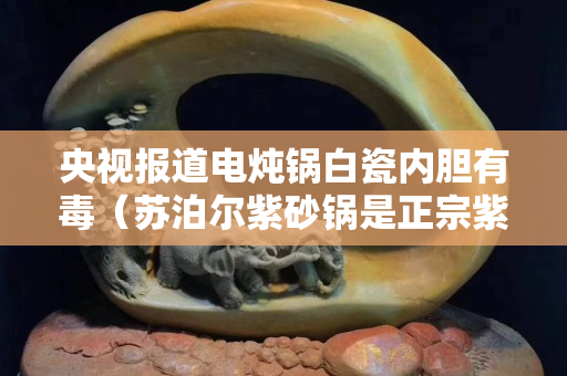 央视报道电炖锅白瓷内胆有毒（苏泊尔紫砂锅是正宗紫砂）