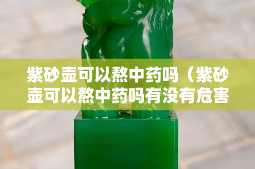 紫砂壶可以熬中药吗（紫砂壶可以熬中药吗有没有危害）
