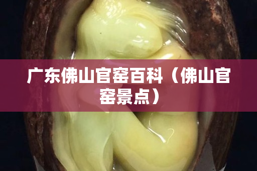 广东佛山官窑百科（佛山官窑景点）