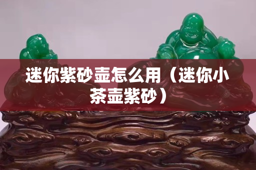 迷你紫砂壶怎么用（迷你小茶壶紫砂）