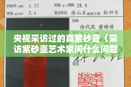 央视采访过的真紫砂壶（采访紫砂壶艺术家问什么问题好）