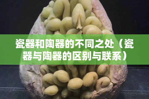 瓷器和陶器的不同之处（瓷器与陶器的区别与联系）