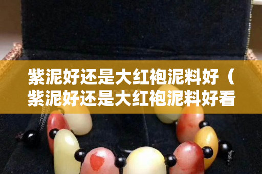 紫泥好还是大红袍泥料好（紫泥好还是大红袍泥料好看）