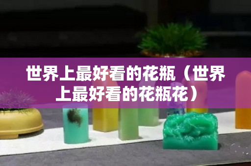 世界上最好看的花瓶（世界上最好看的花瓶花）
