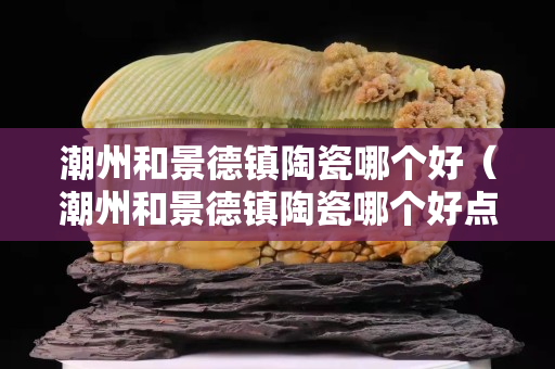 潮州和景德镇陶瓷哪个好（潮州和景德镇陶瓷哪个好点）
