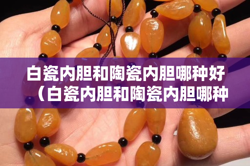 白瓷内胆和陶瓷内胆哪种好（白瓷内胆和陶瓷内胆哪种好一点）