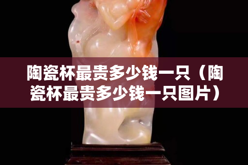 陶瓷杯最贵多少钱一只（陶瓷杯最贵多少钱一只图片）